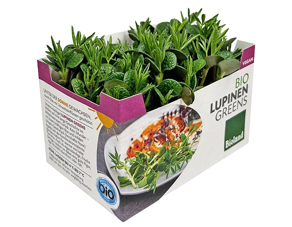 Lupinen Greens