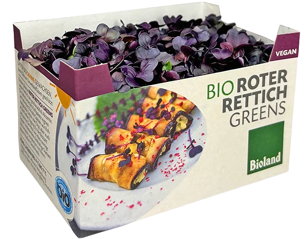 Roter Rettich Greens